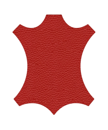R5C1