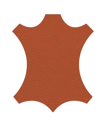 R5C3