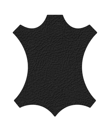 N5C1
